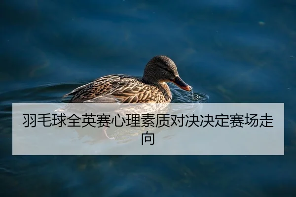 yu-mao-qiu-quan-ying-sai-xin-li-su-zhi-dui-jue-jue-ding-sai-chang-zou-xiang-2-588.jpg